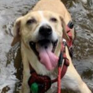 Profile photo of Cathy Anthofer-Fialon